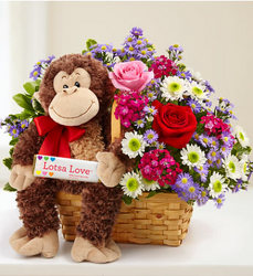 Lotsa Love Davenport Florist - Same Day Flower Delivery - Flower Power 
